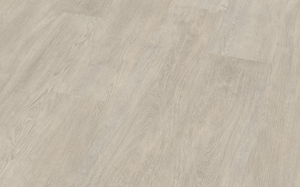 Robinie weiß - Ziro Vinyl Casa Rigid | Klick Rigid Vinylboden